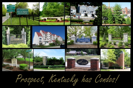 Prospect KY Condos Patio Homes For Sale In 40059 SmallTown